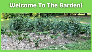 Vegetable Garden | Tour Our Vegetable Garden