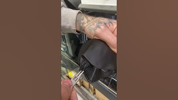 “WHERES THE CATNIP!?!?”😂❤️👌🏾  #catsshorts #catvideos #cat #catfunny #funny #cute #catlover #cats