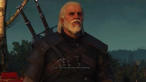 The Witcher 3 - Heavily Modded Walkthrough - No Commentary - A Poet Under Pressure (Part 40)