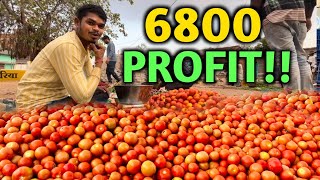 I Made Huge Profit To Sell These Tomatoes 🍅