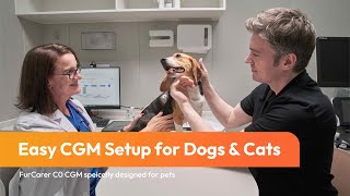 How to Use the FurCarer CGM for Pets | Step-by-Step Guide