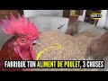 3 raisons pour fabriquer son aliment de poulet fabrication daliment de poulet elevage de poulet