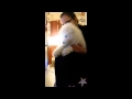 Samoyed Puppy &amp; My Sister