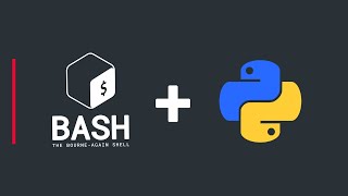 create a bash executable file to run python scripts (or any program) for automation