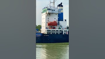 Tàu container Pacific express vào luồng Sài Gòn #vessel #container