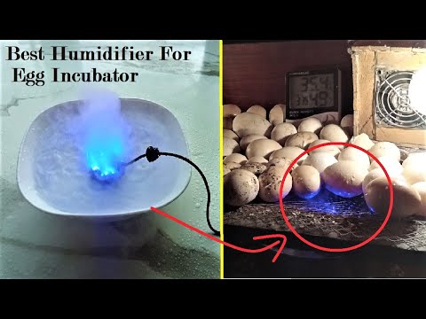 Best Humidifier For Egg Incubator | Humidity maker for Homemade egg