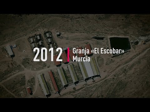 El Pozo y El Escobar: escándalo interminable