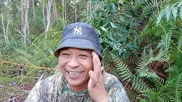 Coba nasip mikat serindit di spot baru tompinai.