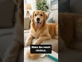 Pet Hair Remover Product Ad | AI Ecommerce Video Creative#AIVideoAds #AIUGC # #ProductAd
