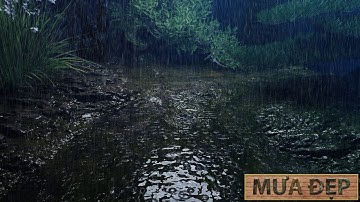 Tiếng Mưa rơi xuống dòng suối đầy rong rêu ẩm ướt trong rừng đầm lầy, Rain sounds for sleeping part2