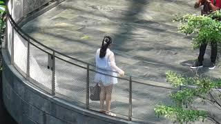 Canon G5X Ii Max Zoom Digital Optical