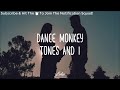Dance monkey song lyriy