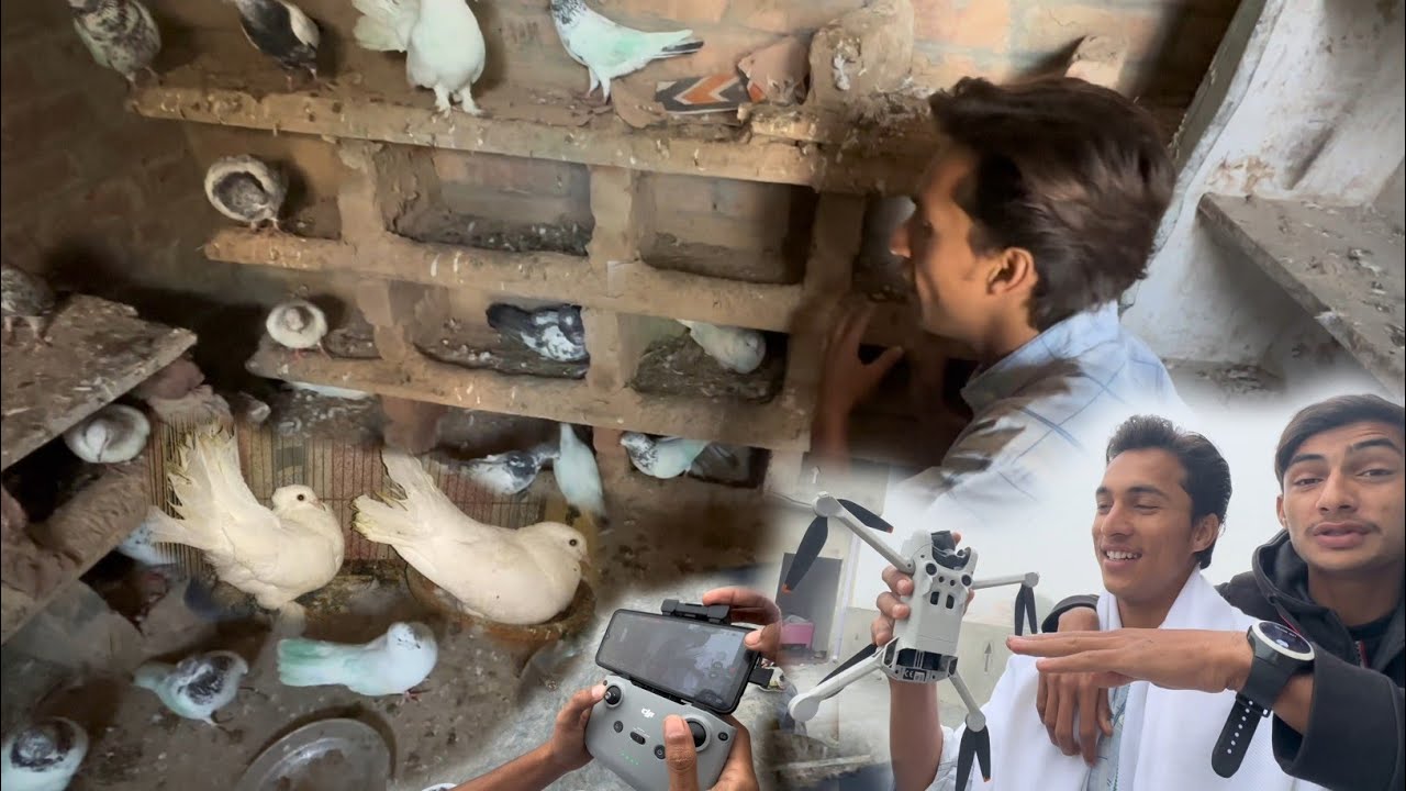 Kabooter Ka Egg Or Drone Crash