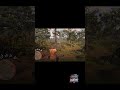 Red Dead Redemption 2 SNIPER SCOPE #rdr2 #reddeadredemption #shorts #shortvideo #arthurmorgan