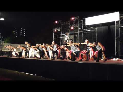 【大賞演舞】岡山うらじゃ連 蓮雫(れんげ) 第２回よさこい高松祭り 2017