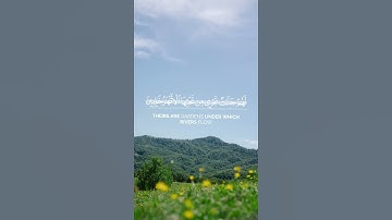 قال الله هذا يوم ينفع الصادقين صدقهم – تلاوة خاشعة عبد المحسن الضباح
