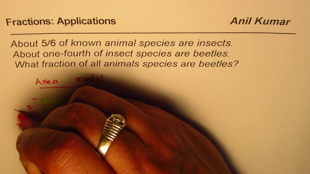 Fractions Insects Fraction of Fraction Application in Insect World - YouTube