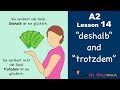 Learn German | "deshalb" und "trotzdem" | German for beginners | A2 - Lesson 14