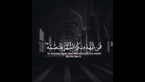 صوت روعة للقارئ وديع اليمني