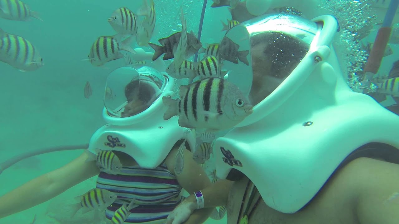 sea trek cancun