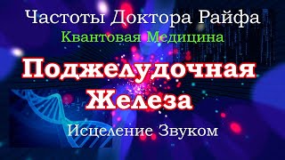 Исцеление Поджелудочной Железы🍀Частоты Доктора Райфа💠Pancreas Healing🍀Dr. Rife Frequencies