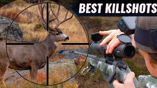 12 Minutes of BEST Hunting KILL SHOTS!