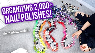 Organizing my 3000+ Nail Polishes in RAINBOW Order! || KELLI MARISSA