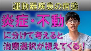 【運動器疾患：急性期～回復期】患者の病態を炎症と不動に分けると治療効果が上がる！