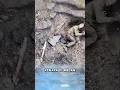 Kenapa Tentara Selalu Butuh Rokok Saat Perang?