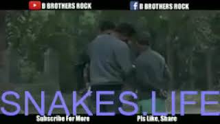 SNAKE LIFE - SNAKE PRANK II SNAKE PRANK IN INDIA II BEST PRANK EVER II BY B BROTHERS ROCK BBR by Animals Funny Life 2 views 4 years ago 4 minutes, 57 seconds