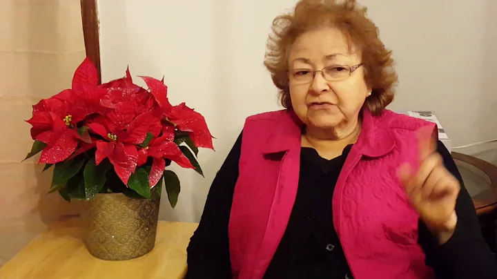 Elsie's Story
