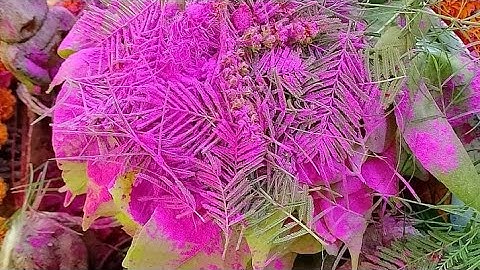 #students #nutrition #youtube #nutritional #nutritional supplements #school #class12 #class10