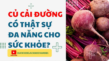 Củ Cải Đường Có Thật Sự Đa Năng Cho Sức Khỏe? | Sức Khỏe Là Vàng