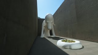 建築113 Aomori Museum of Art Designed by Jun Aoki：青森県立美術館