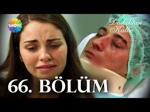 Dudaktan Kalbe 66. Bölüm | FULL BÖLÜM