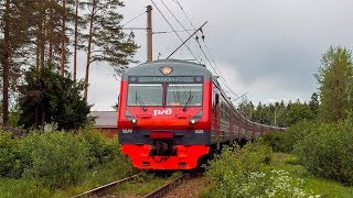 Электропоезд ЭД4М-0420, перегон Вырица - Посёлок, Ленобласть.