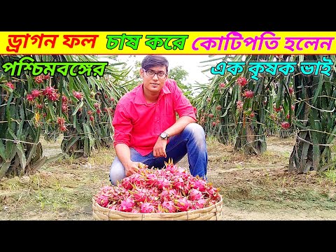 ভিডিও: আকাশচুম্বী বিকল্প