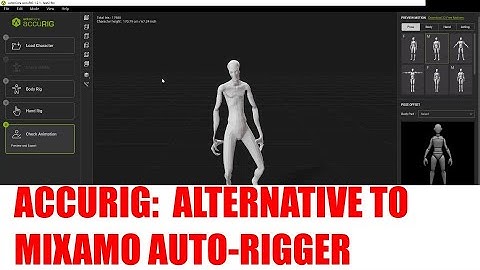 Accurig: An Alternative to the Mixamo Auto-Rigger