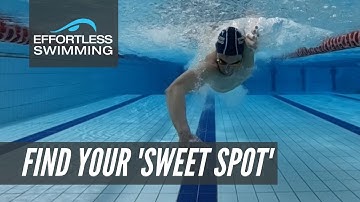 Find Your Ideal Stroke Rate With This Set | OPEN WATER SWIMMING