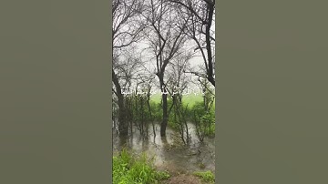 سورة الأحزاب من الآية ٥٥ إلى ٥٦ بتلاوة القارئ إسلام صُبحي💚.