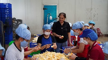 Đắk Nông tăng cường liên kết tiêu thụ nông sản | “NTV News”