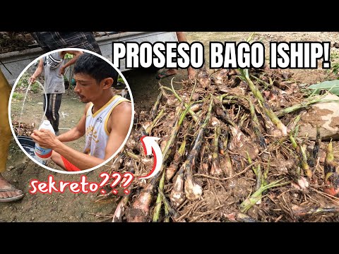 ผลสลากกินแบ่งรัฐบาล วันที่ 1 พย. 2567