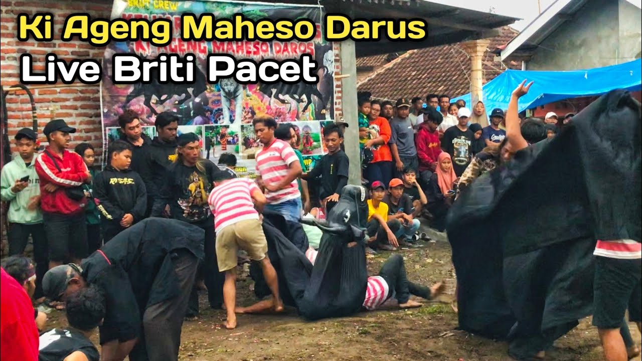 Full Banteng Ngamuk...!!? Keluarga besar sapi alas Ki Ageng Maheso Daros Live Briti Pacet