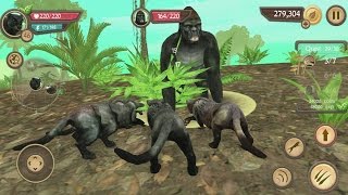 Wild Panther Sim 3D Android Gameplay #22 screenshot 5