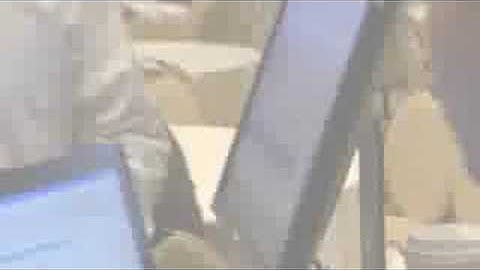 Netezza Enzee Universe 2008