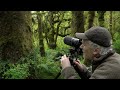 Landscape PHOTOGRAPHY /Big Mossy Trees