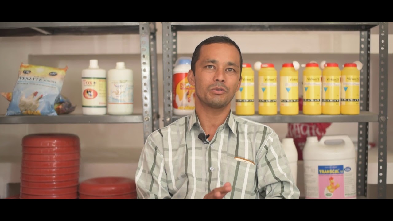 See How Poultry Helps to Reduce Migration From a Boarder Village Bhateri (Pithoragarh) : Episodes-2