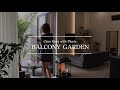 【観葉植物】ベランダで観葉植物の植え替え｜掃除ルーティン｜GARDEN BALCONY