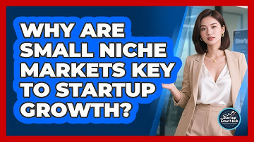 Why Are Small Niche Markets Key To Startup Growth? - The Startup Growth Hub