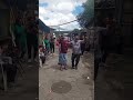 GITANOS BAILANDO RUMBA ESPECTACULAR CON ALEGRIA Y PASION ✨💃🕺 #gypsy #rumba #dance #love #gypsydance